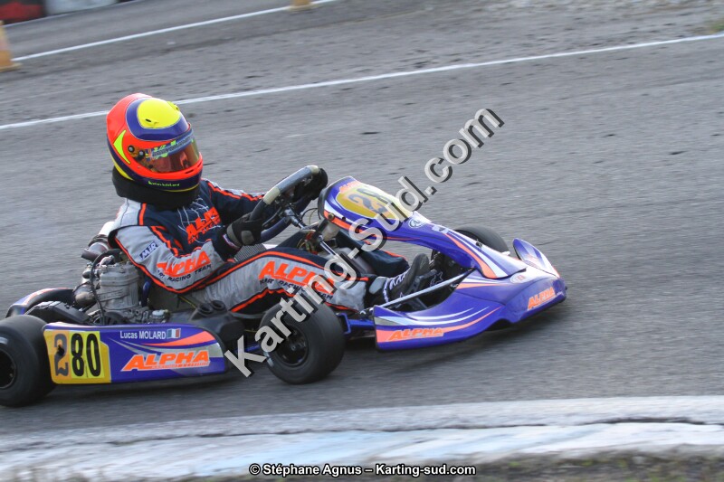 20140316-lavelanet-agnus 391 (2).JPG